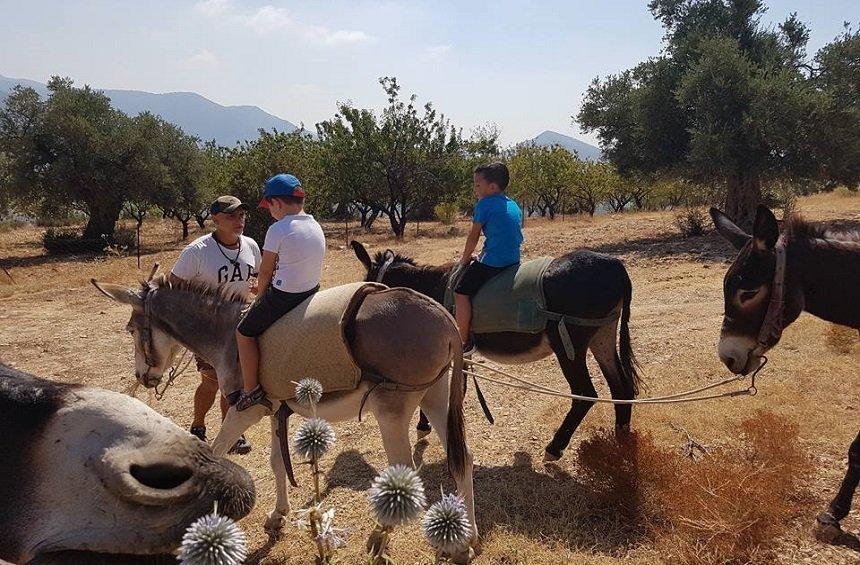 Θεματικά πάρκα, Μουσεία, Ενυδρεία και Χώροι Ψυχαγωγίας στην Κύπρο